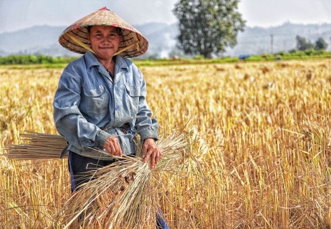 Recrutare personal asiatic agricultură